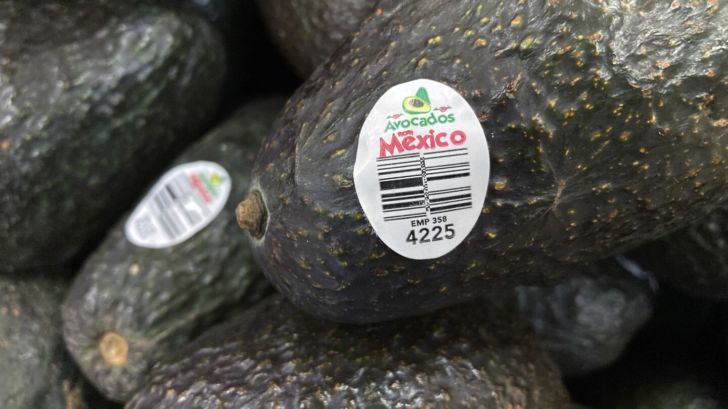 Assault on US avocado inspectors in Mexican state led to suspension of inspections