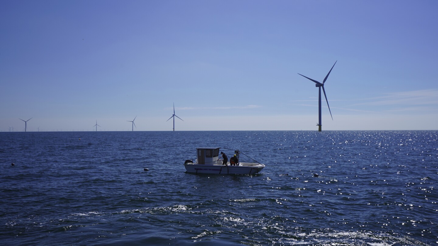 Beneath offshore wind turbines, researchers grow seafood and seaweed