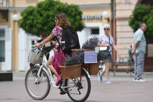 Naslovne strane za nedelju, 23. jun 2024. godine