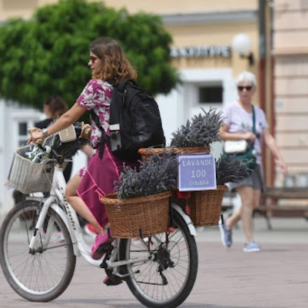 Naslovne strane za nedelju, 23. jun 2024. godine