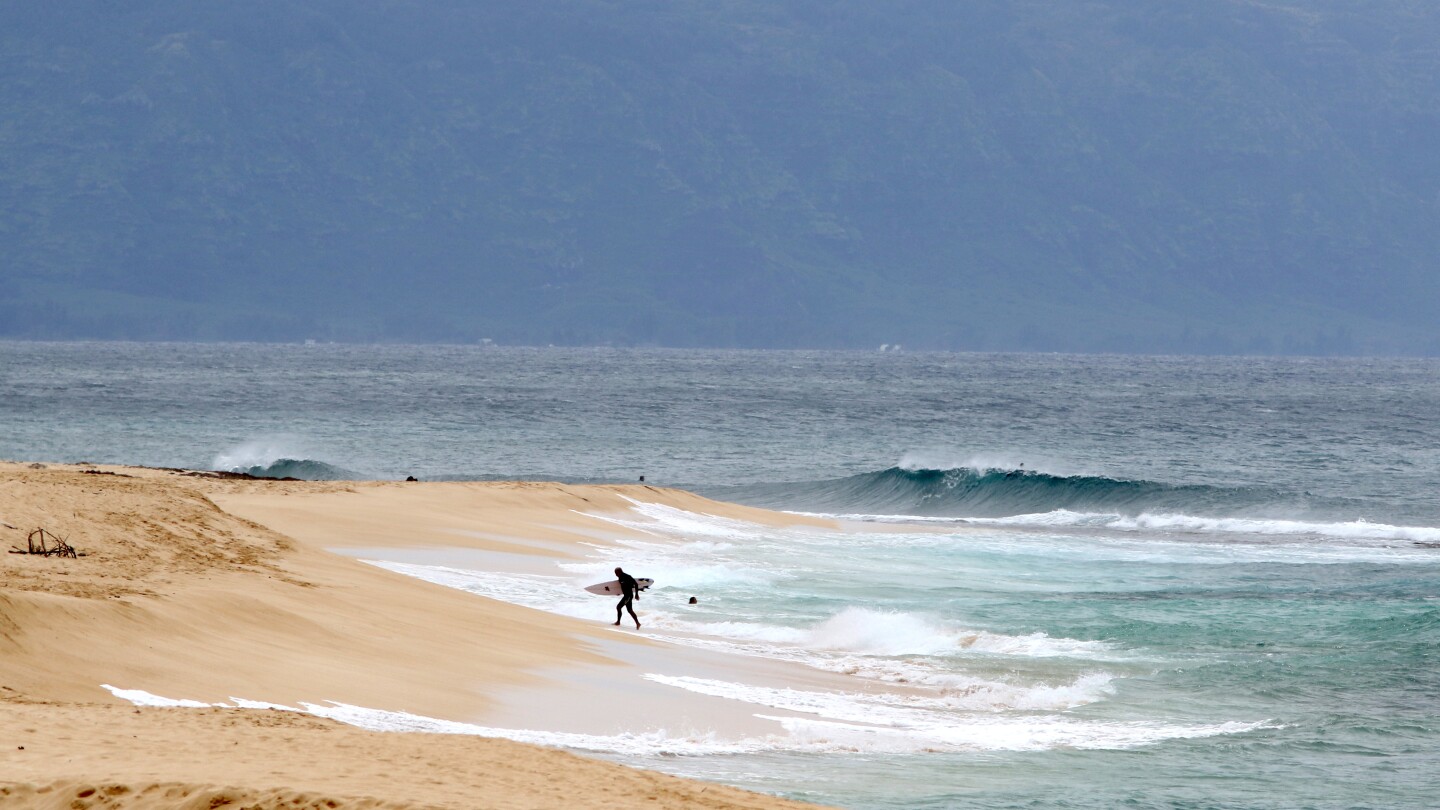 Hawaii lifeguard dies in shark attack while surfing off Oahu