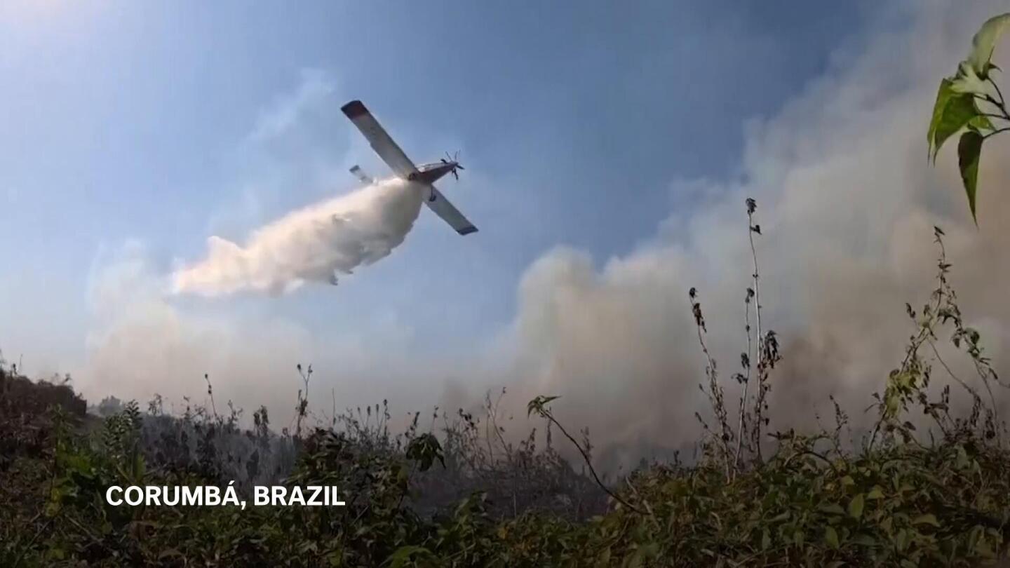 Firefighters and locals battle fires in Brazil’s Pantanal wetlands | AP News