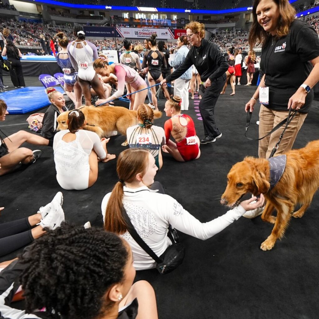 ‘No egos,’ increased transparency and golden retrievers. How USA Gymnastics came back from the brink