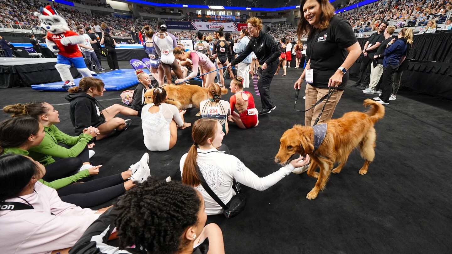 ‘No egos,’ increased transparency and golden retrievers. How USA Gymnastics came back from the brink