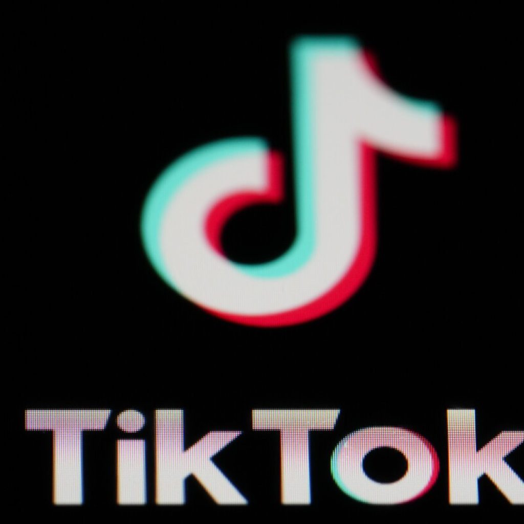 Free speech and digital rights groups argue TikTok law would infringe on the First Amendment