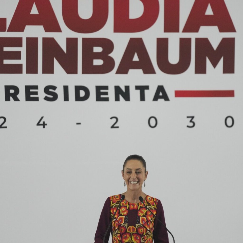 Mexico’s incoming president appoints expert in sustainable development as head of energy