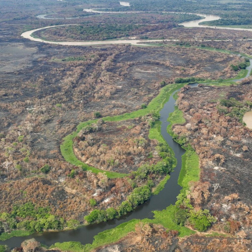 Brazil’s Pantanal wetlands fire season hasn’t officially started but it’s already breaking records