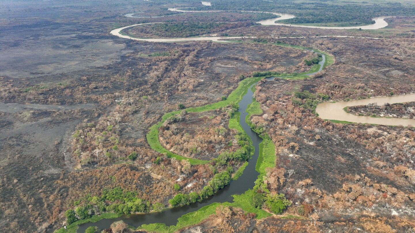 Brazil’s Pantanal wetlands fire season hasn’t officially started but it’s already breaking records