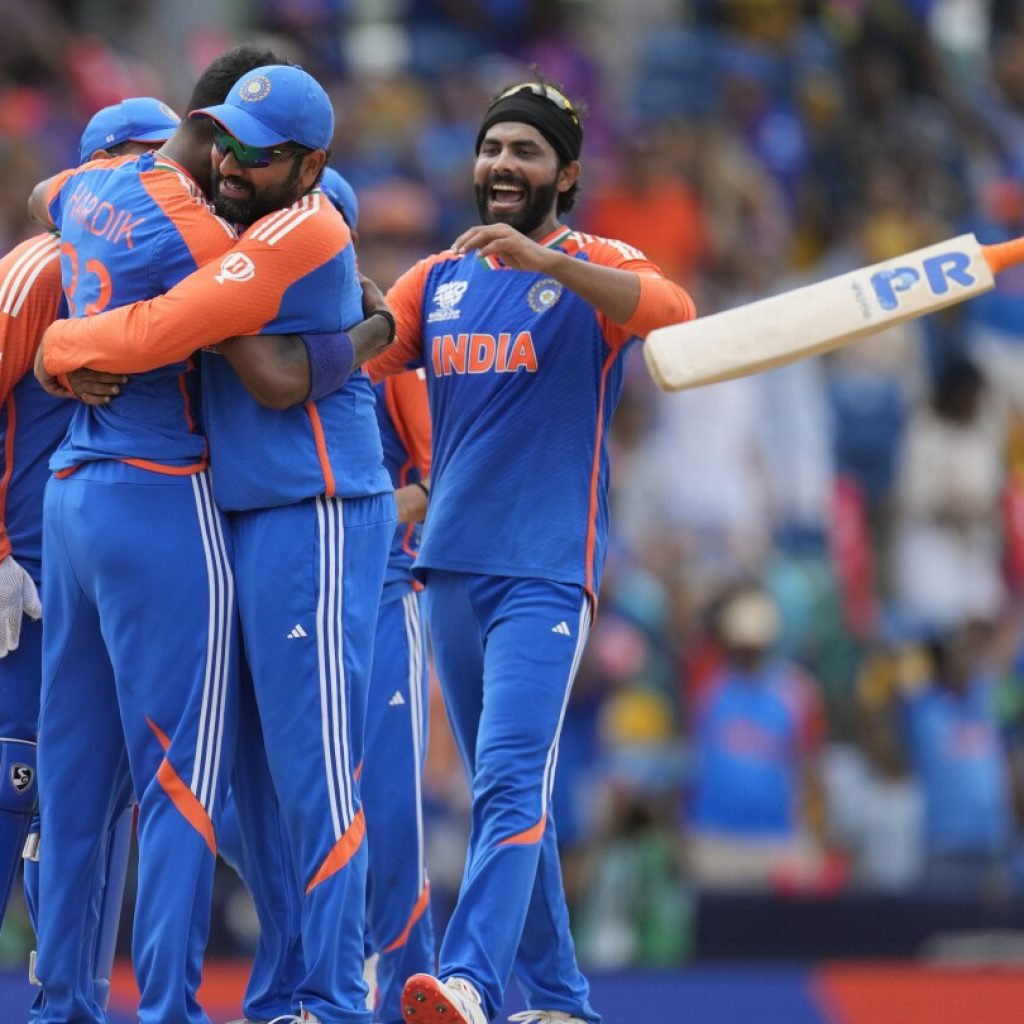 India wins the Twenty20 World Cup in a thrilling final against South Africa