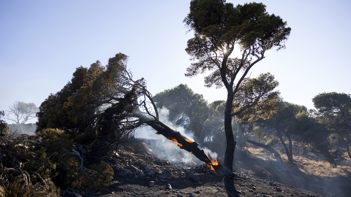 Firefighters tackle blaze on Greek island of Chios as premier warns of ‘dangerous summer’