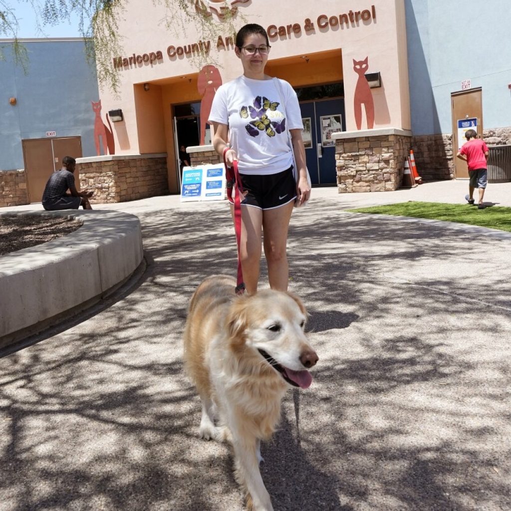 ThunderShirts, dance parties and anxiety meds can help ease dogs’ July Fourth dread