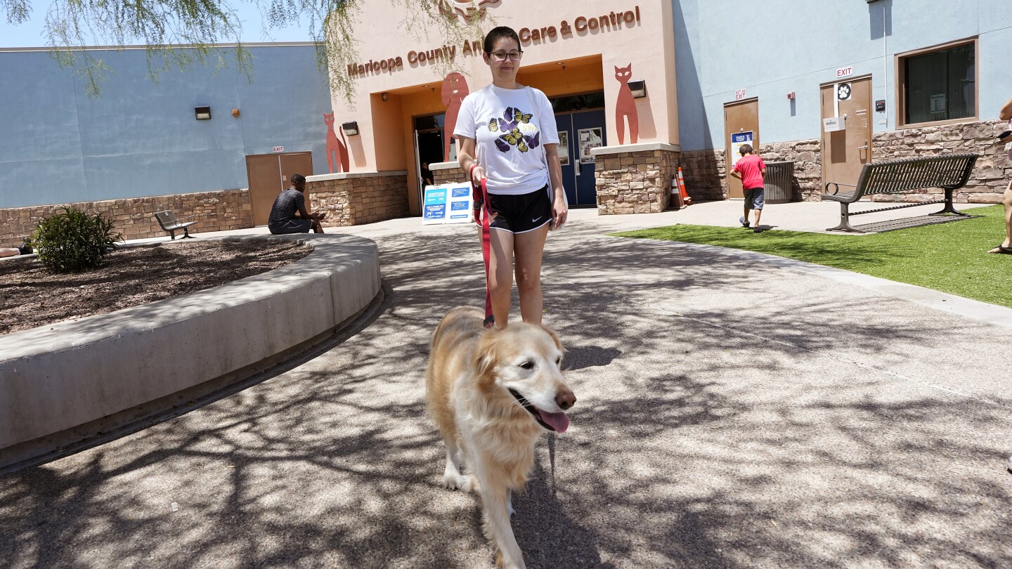 ThunderShirts, dance parties and anxiety meds can help ease dogs’ July Fourth dread