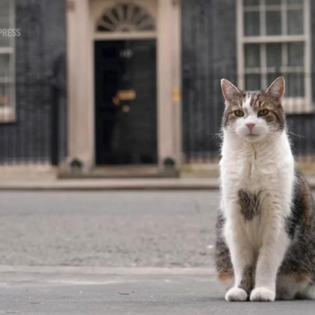 Larry the cat poised to welcome Britain’s next prime minister | AP News