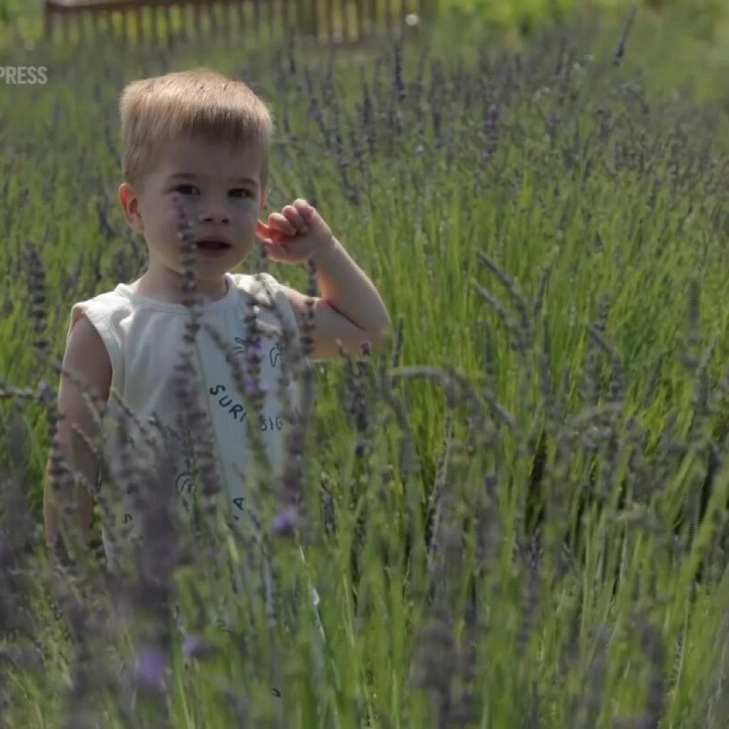 Despite hardships of war, flowers fill Kyiv and other Ukrainian cities | AP News