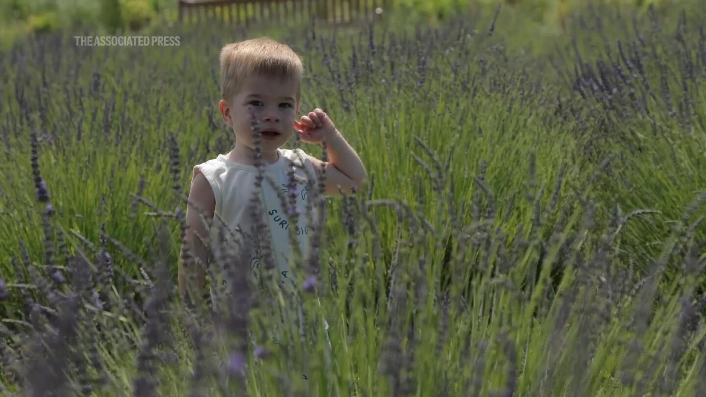 Despite hardships of war, flowers fill Kyiv and other Ukrainian cities | AP News