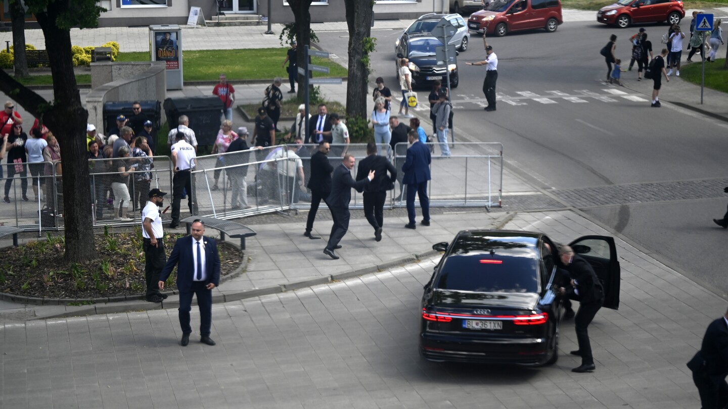 The suspect in the attempted assassination of Slovakia’s prime minister now faces terror charges