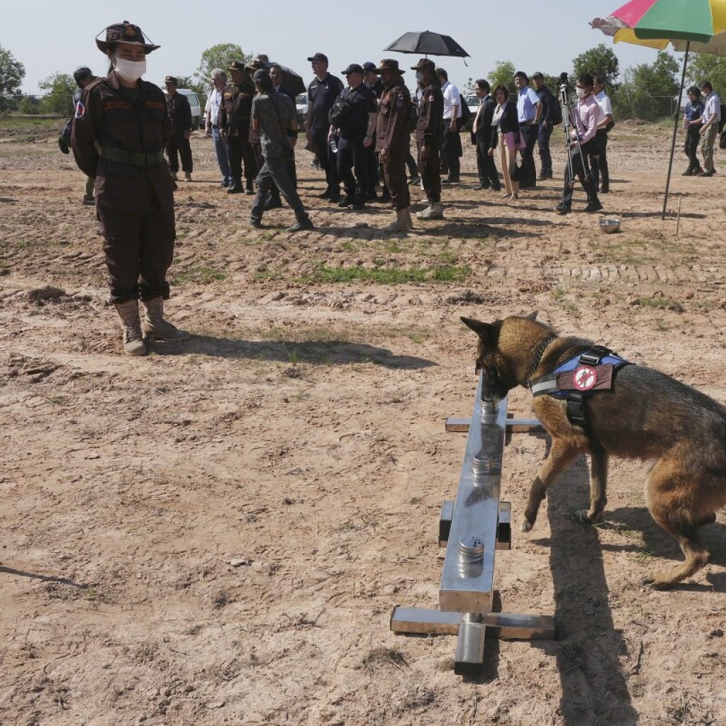 Japan partners with Cambodia to share demining knowledge with Ukraine, other countries