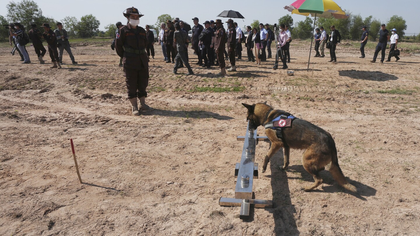 Japan partners with Cambodia to share demining knowledge with Ukraine, other countries