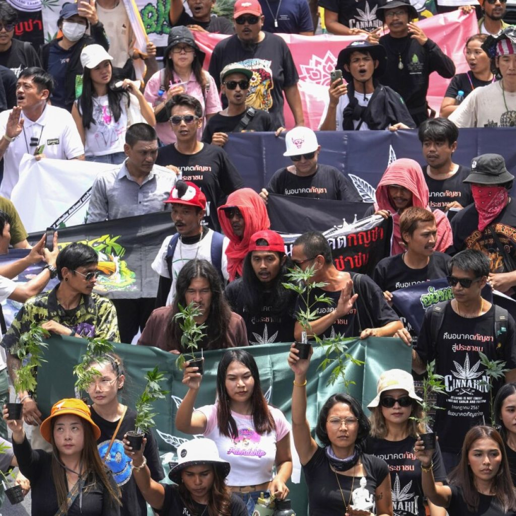 Cannabis advocates in Thailand protest a proposal to ban its general use once again