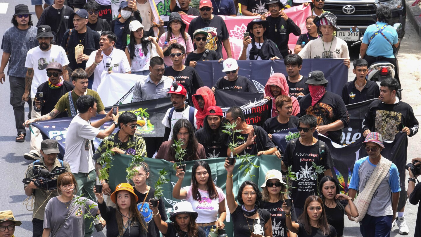 Cannabis advocates in Thailand protest a proposal to ban its general use once again