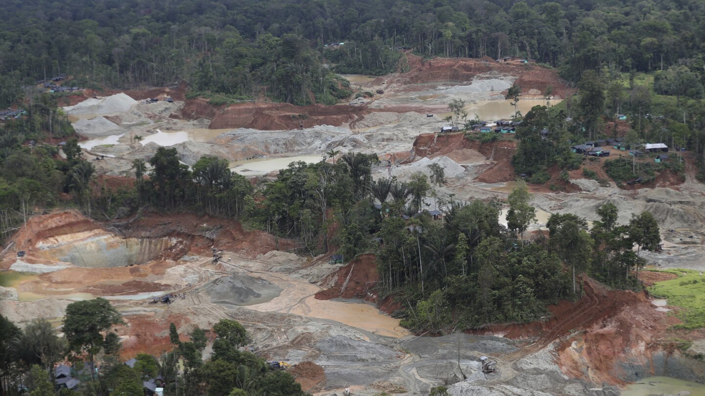 Deforestation in Colombia fell to historic lows in 2023, environment minister says