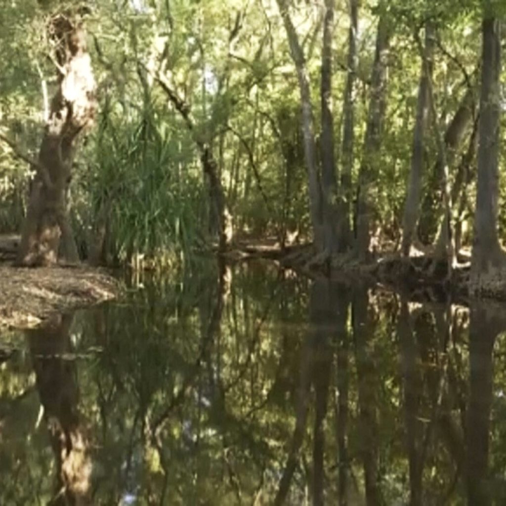 Rangers shot dead a 14-foot crocodile after it killed a girl swimming in an Australian creek