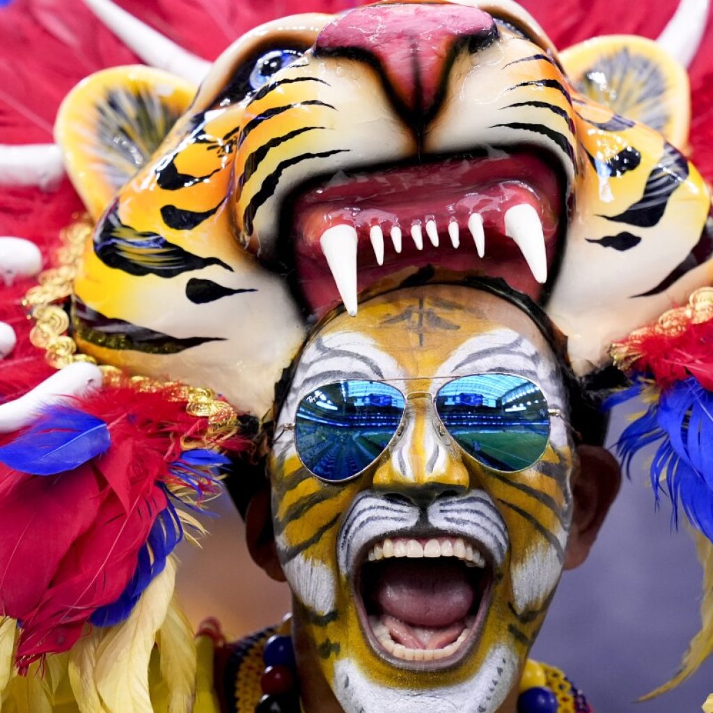 AP PHOTOS: Fans of Copa America Show their spirit- Photo Collection