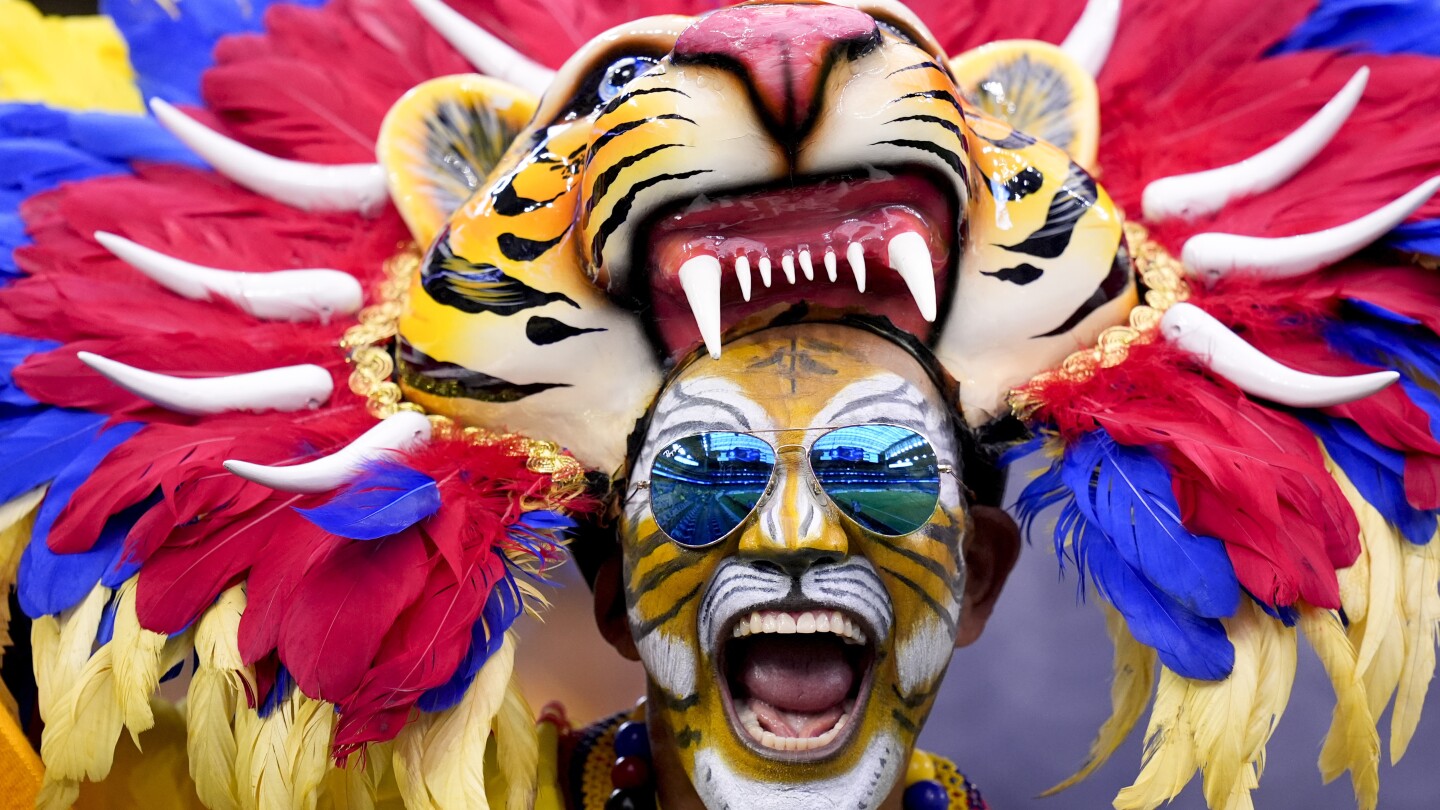 AP PHOTOS: Fans of Copa America Show their spirit- Photo Collection