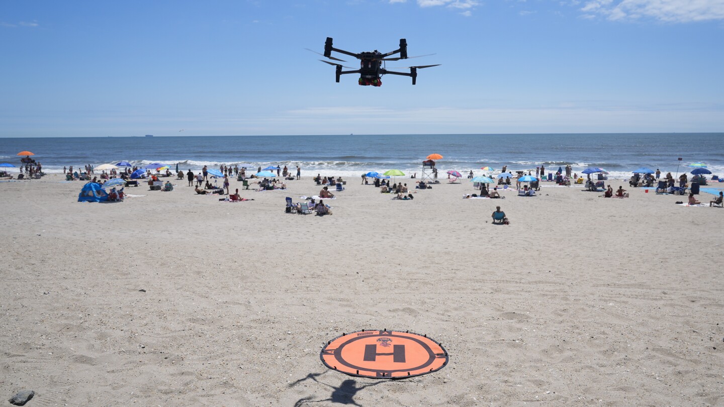 On NYC beaches, angry birds are fighting drones on patrol for sharks and swimmers