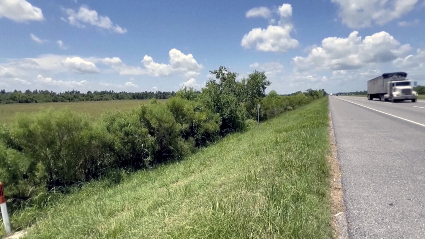 Trucker describes finding ‘miracle baby’ by the side of a highway in Louisiana