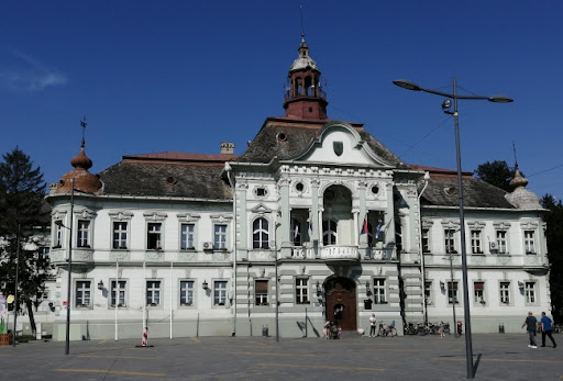 Građanski preokret: Nova žalba protiv Grada Zrenjanina zbog Linglonga