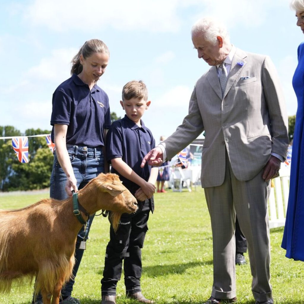 No kidding! King Charles III bestows royal title on rare golden goat breed