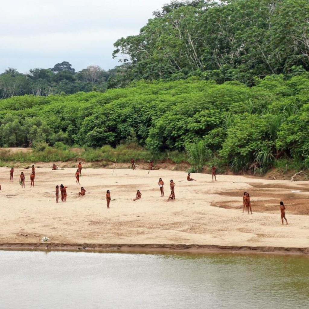 Video shows reclusive tribe on a beach in the Amazon. Group says logging moving ‘dangerously close’ | AP News