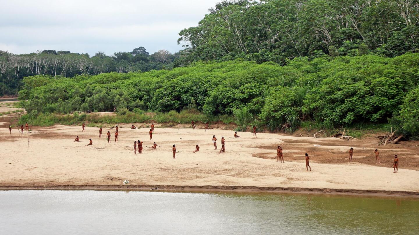 Video shows reclusive tribe on a beach in the Amazon. Group says logging moving ‘dangerously close’ | AP News