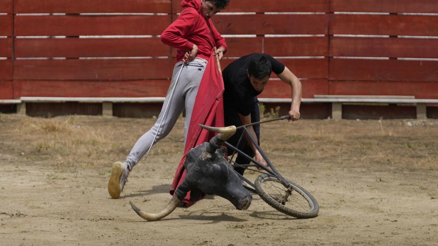 Colombian bullfighters react to a recent ban on the centuries-old tradition and vow to keep it alive | AP News