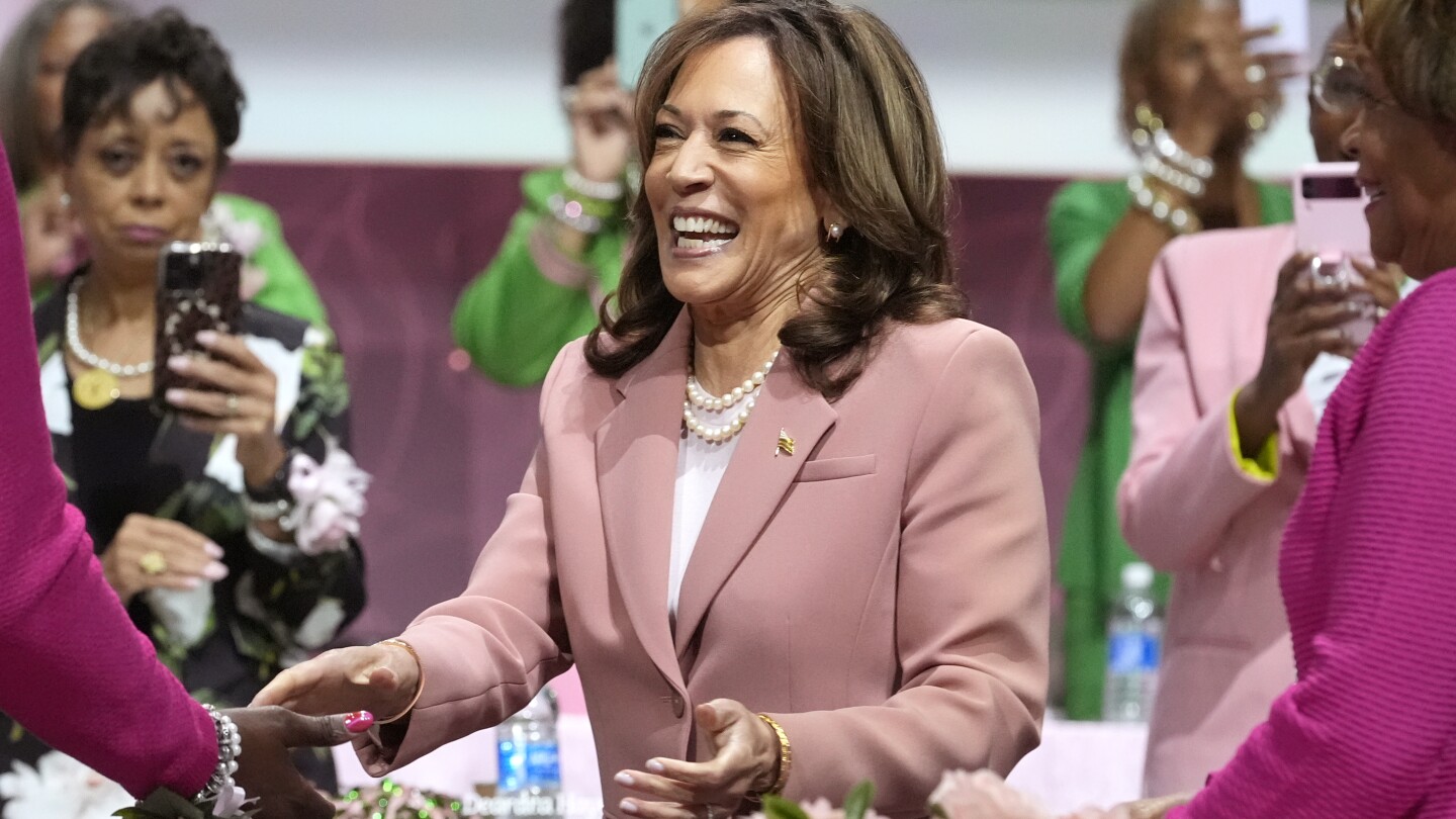 ‘We were built for this moment’: Black women rally around Kamala Harris