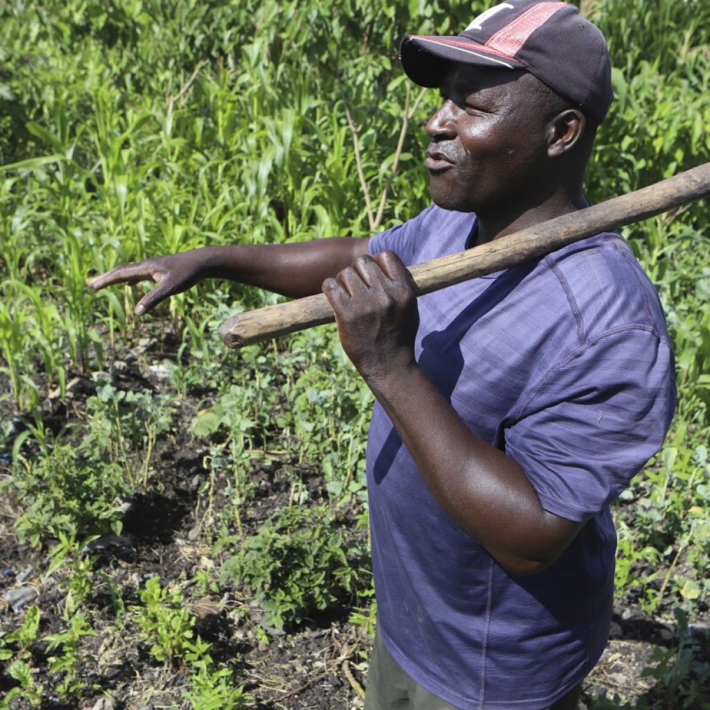 Farmers in Africa say their soil is dying and chemical fertilizers are in part to blame