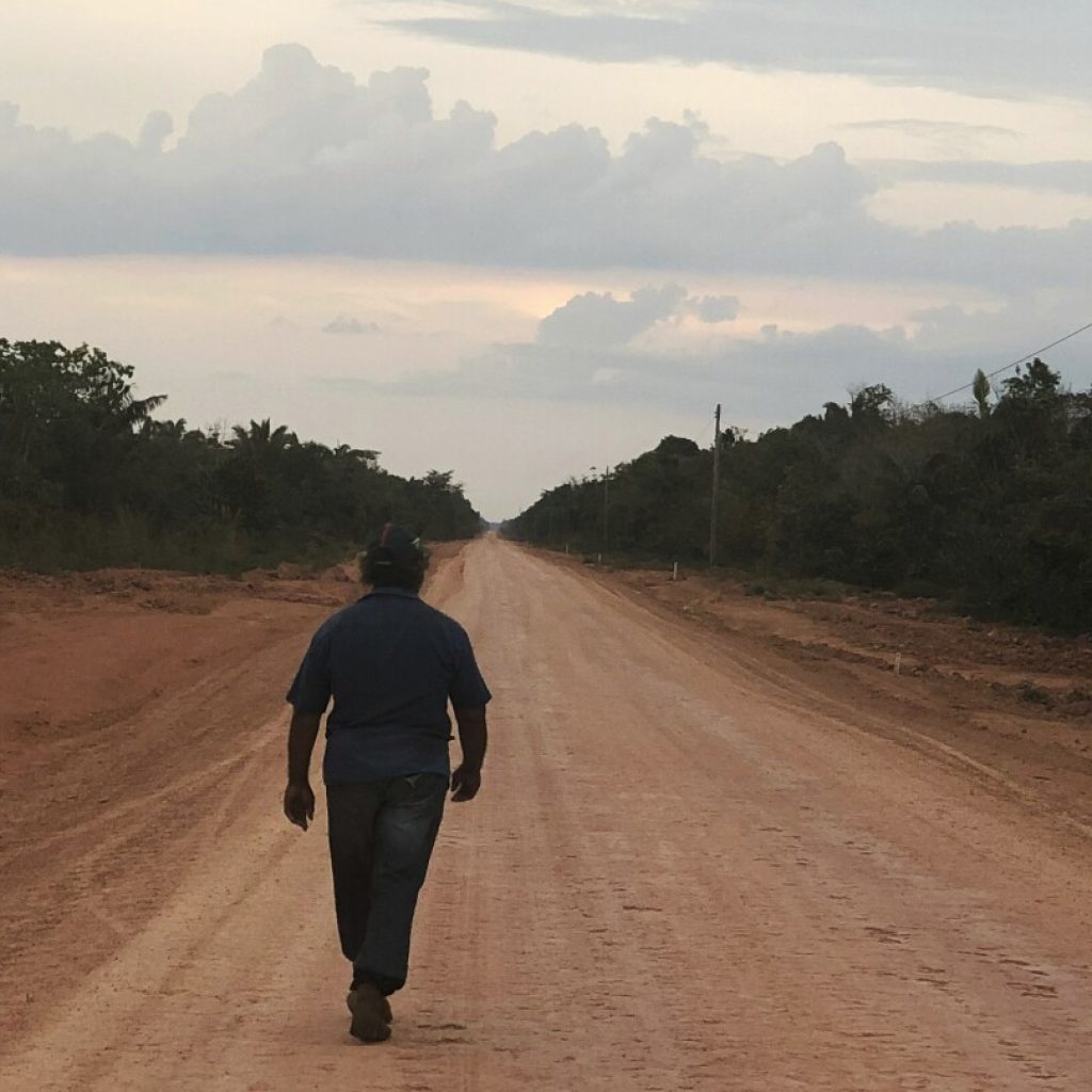 Citing climate change, a federal court in Brazil halts rainforest highway paving