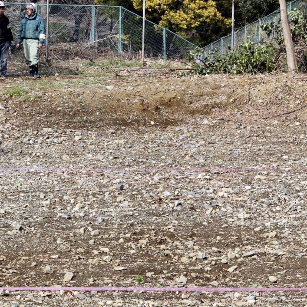 A mysterious pile of bones could hide evidence of Japanese war crimes, activists say