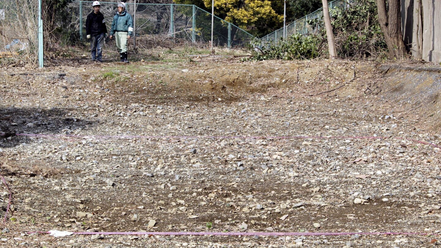 A mysterious pile of bones could hide evidence of Japanese war crimes, activists say