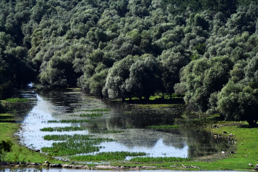 Svet od sutra živi u ekološkom dugu