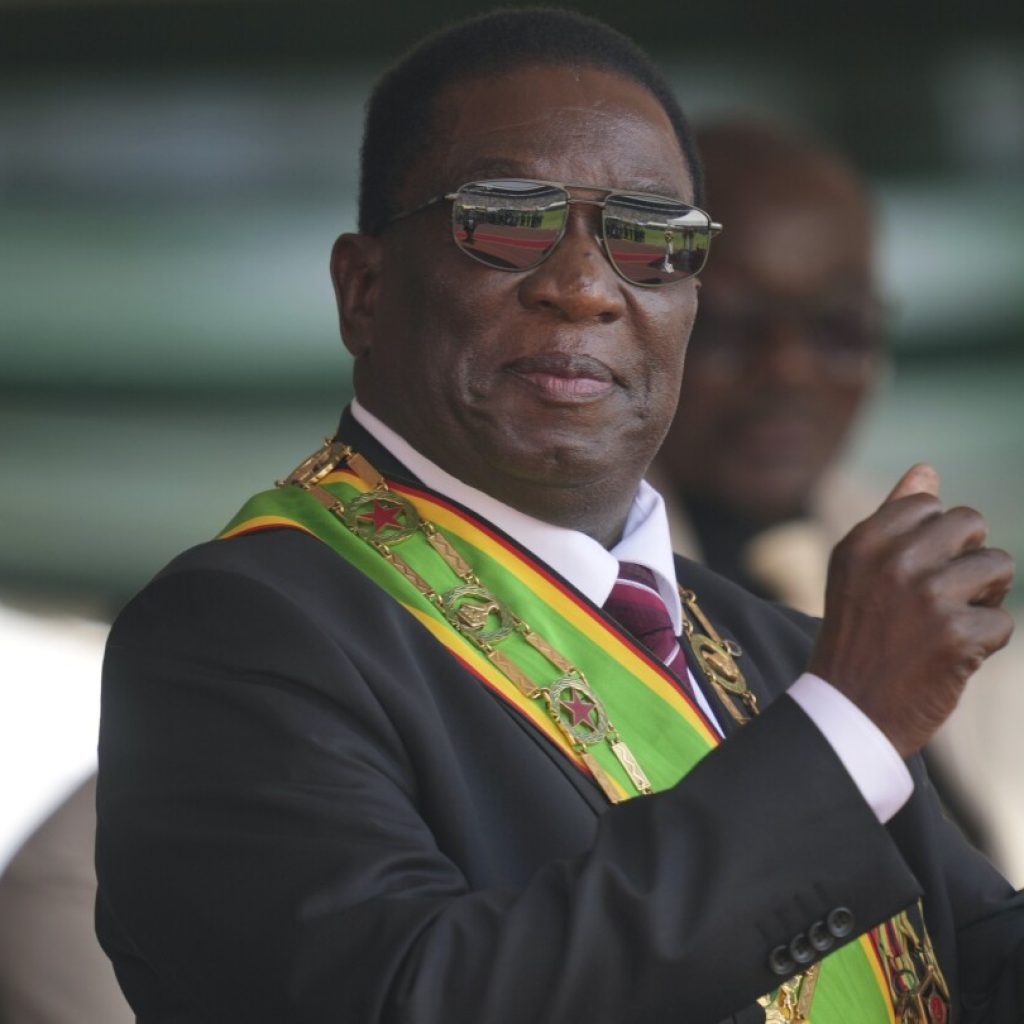 Zimbabwe police arrest 18 political activists in latest clampdown ahead of regional summit