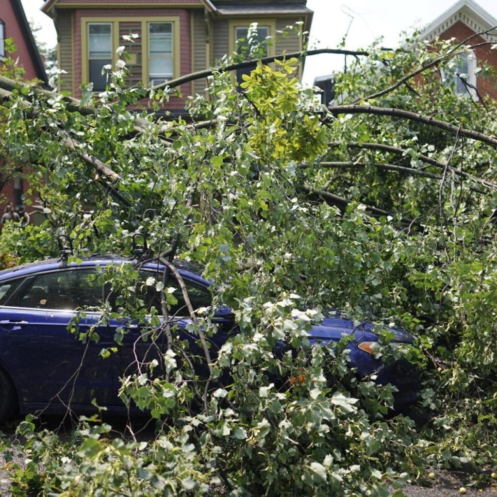 Tornado briefly sweeps into Buffalo, damaging buildings and scattering tree limbs