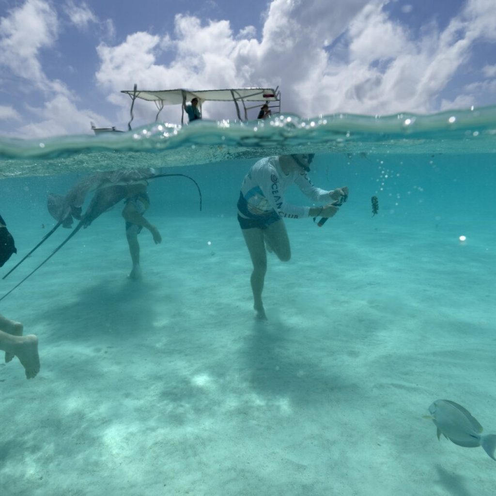 Tahiti’s rahui tradition has helped revive ecosystems — including near the Olympics surfing venue