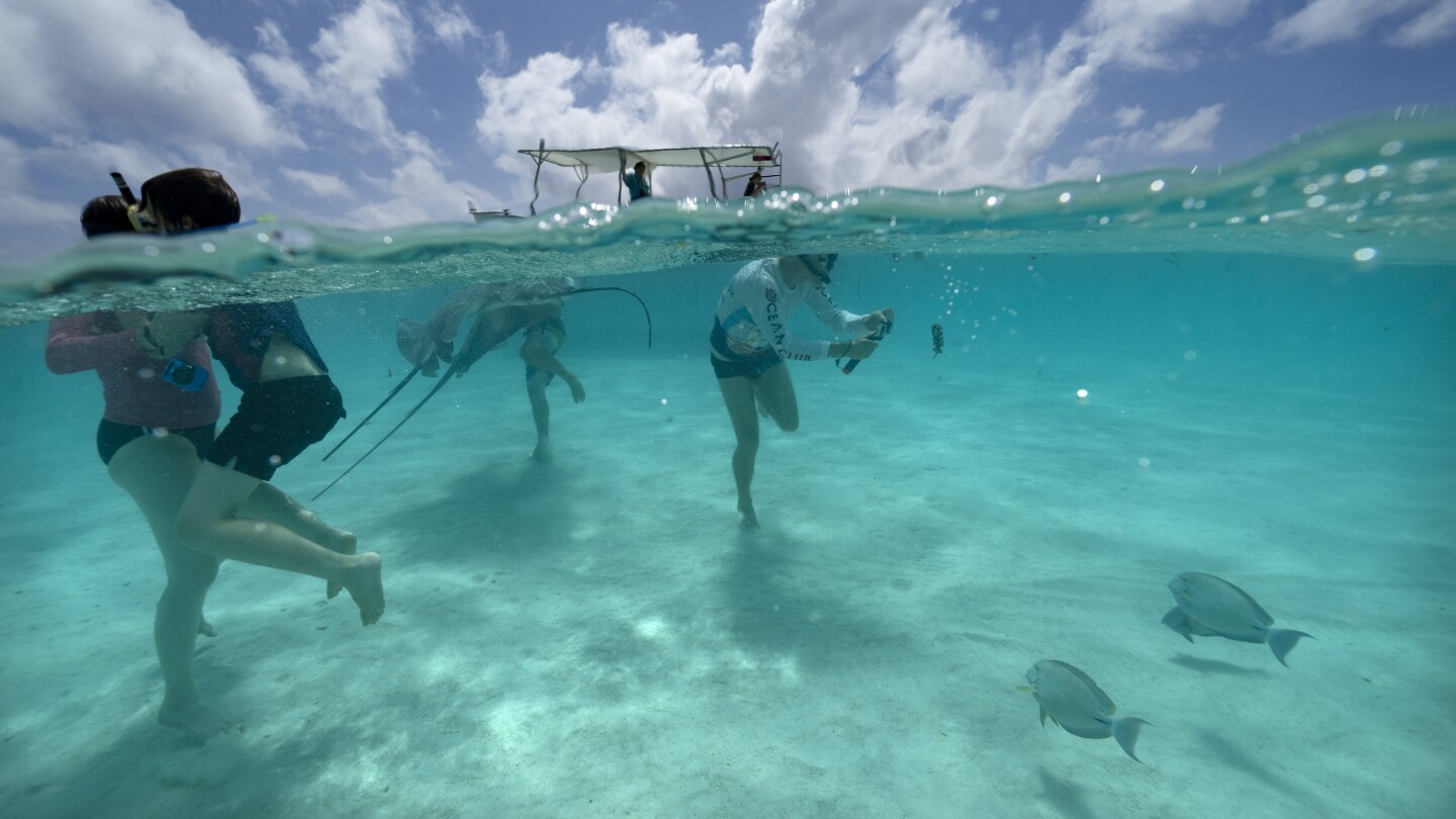 Tahiti’s rahui tradition has helped revive ecosystems — including near the Olympics surfing venue