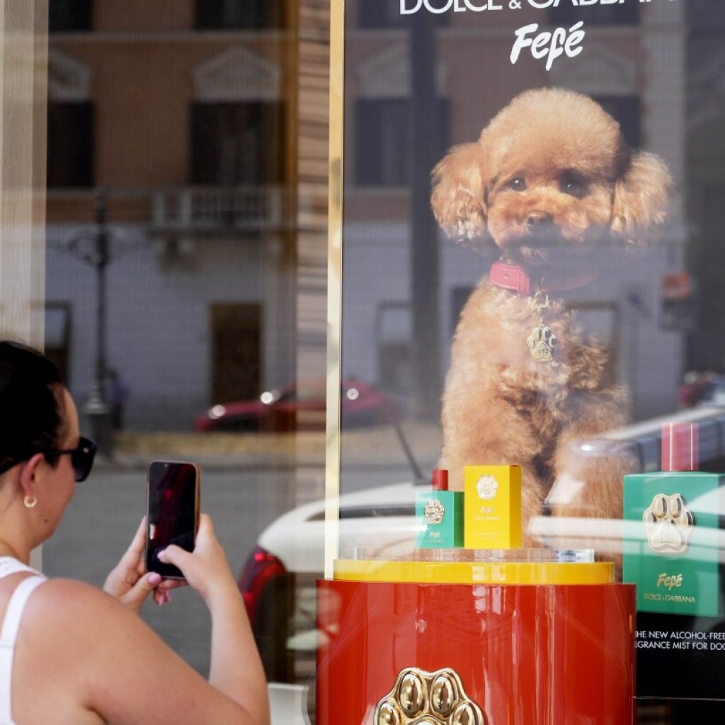 Dolce & Gabbana launches a new perfume for dogs, but some vets and pet-owners are skeptical