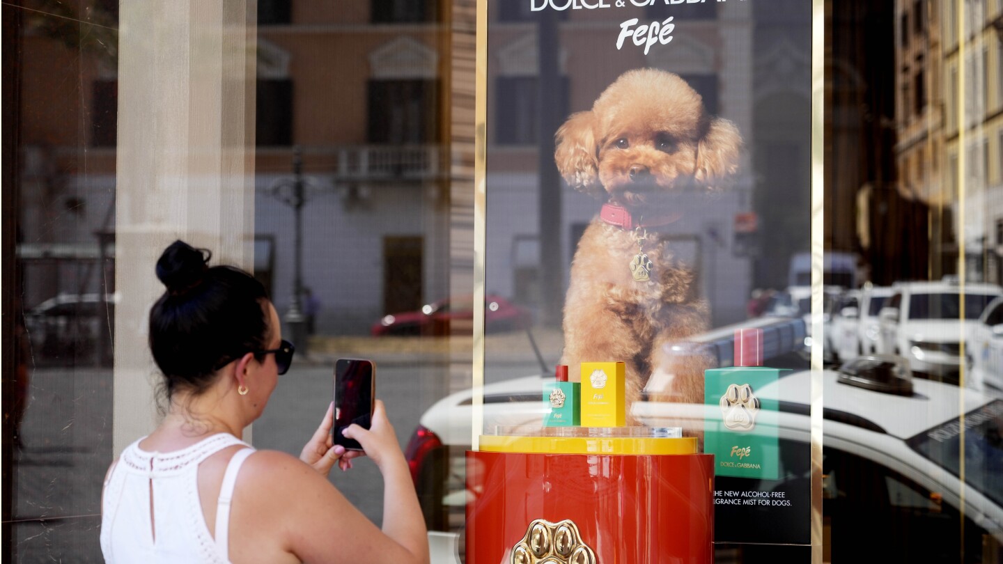 Dolce & Gabbana launches a new perfume for dogs, but some vets and pet-owners are skeptical