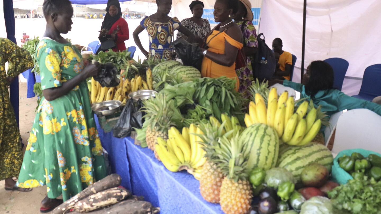 As South Sudan’s oil revenues dwindle, even the security forces haven’t been paid in months