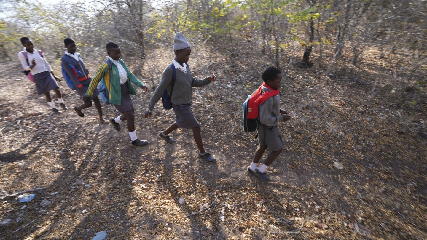 In Zimbabwe, schoolchildren face threats from animals. Now they are learning how to spot the dangers