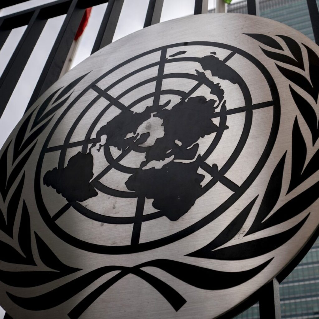 The UN is moving to fight cybercrime but privacy groups say human rights will be violated